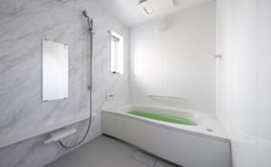 【浴室掃除】浴室の天井に生えたカビの掃除方法について